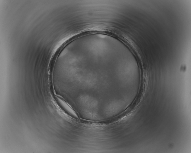 X0000114610779200911101151