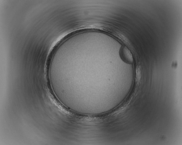 X0000114610780200911101151