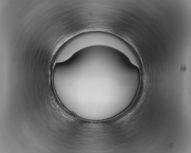 X0000114610781200911101151