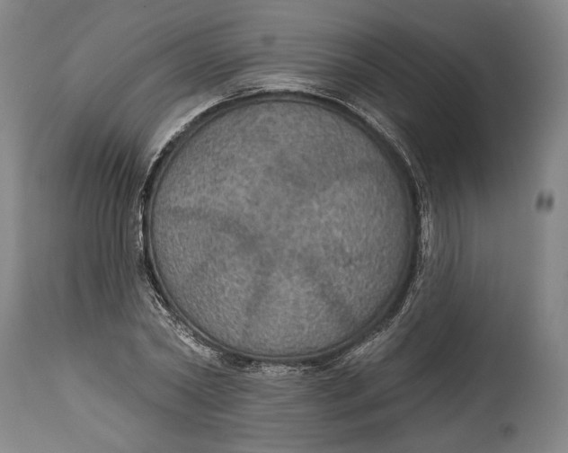 X0000114610782200911101151