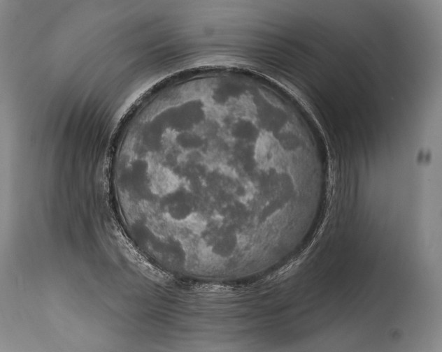 X0000114610783200911101151