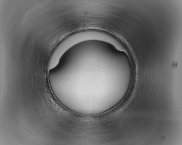 X0000114610785200911101151