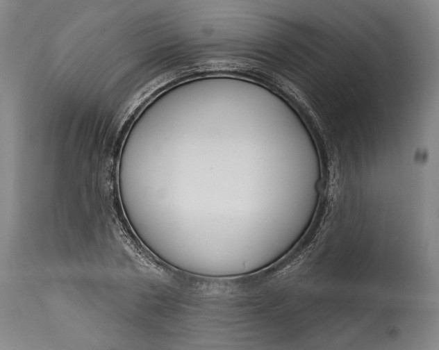 X0000114610786200911101151