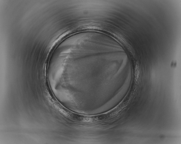 X0000114610790200911101151