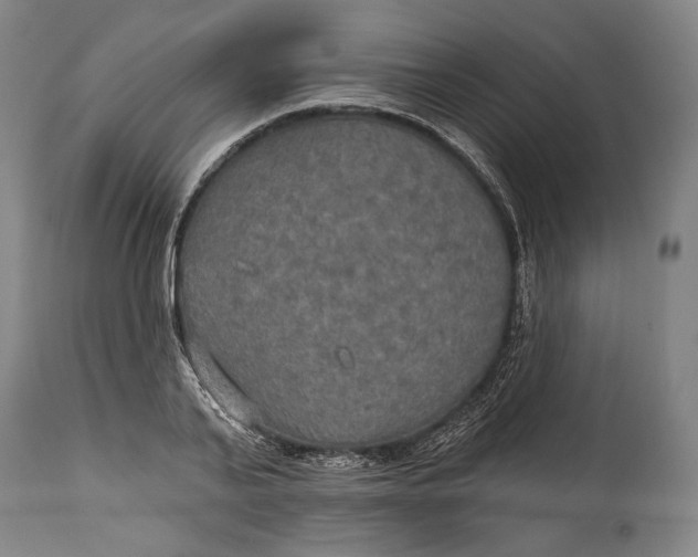 X0000114610791200911101151