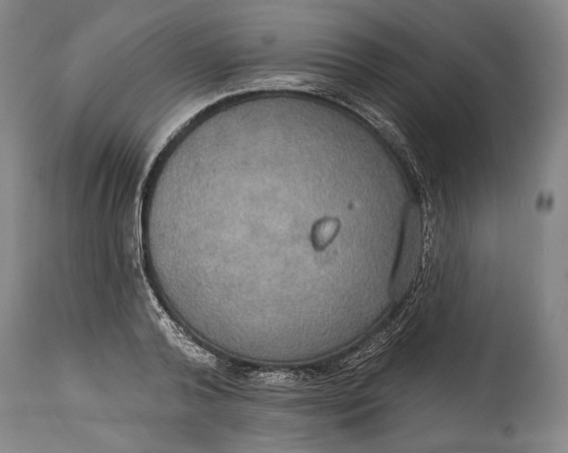 X0000114610792200911101151