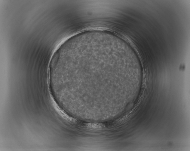 X0000114610795200911101151