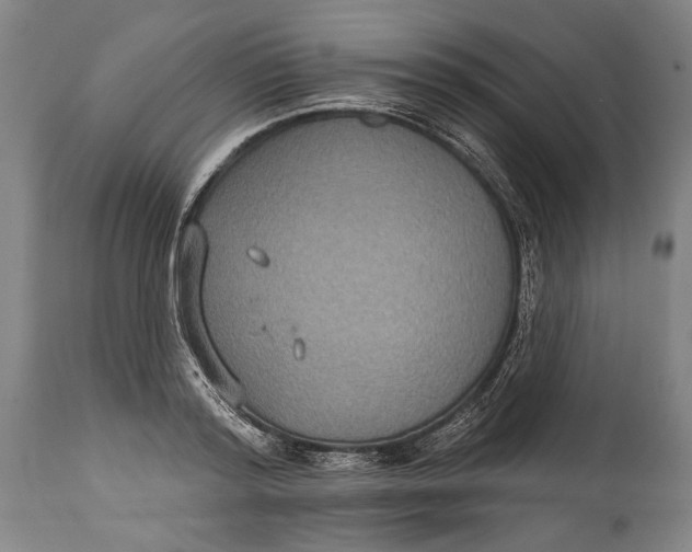 X0000114610796200911101151