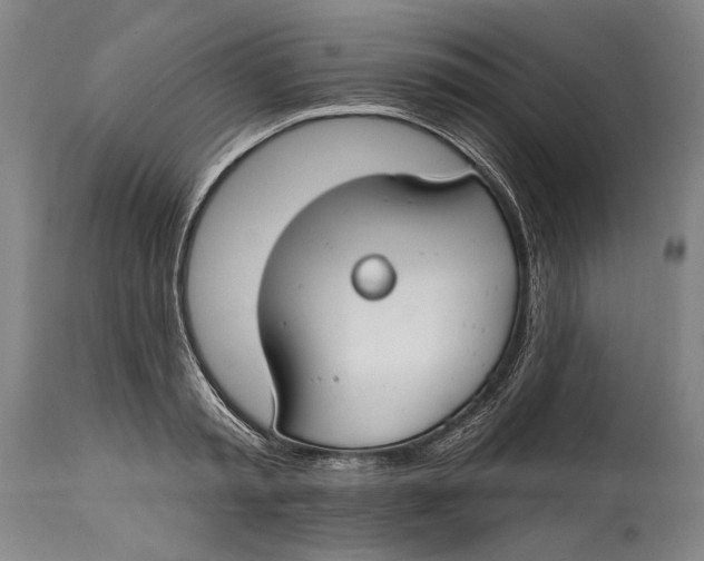 X0000114610797200911101151