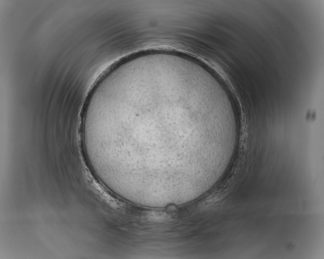 X0000114610799200911101151