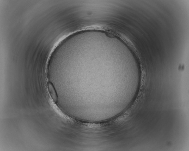 X0000114610800200911101151