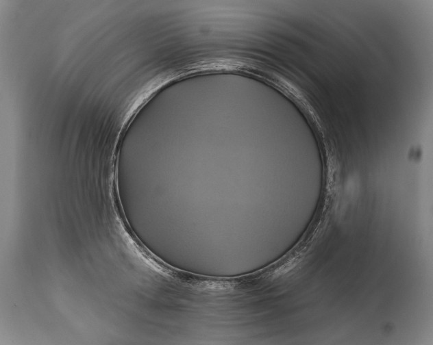 X0000114610802200911101151