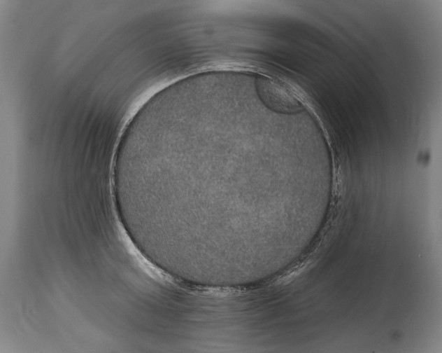 X0000114610803200911101151