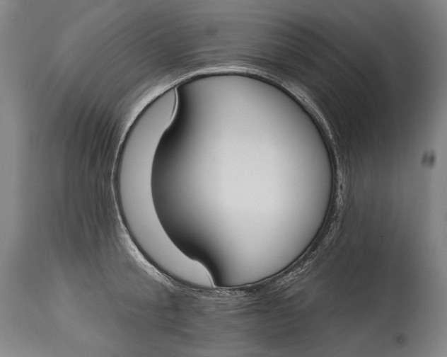 X0000114610805200911101151