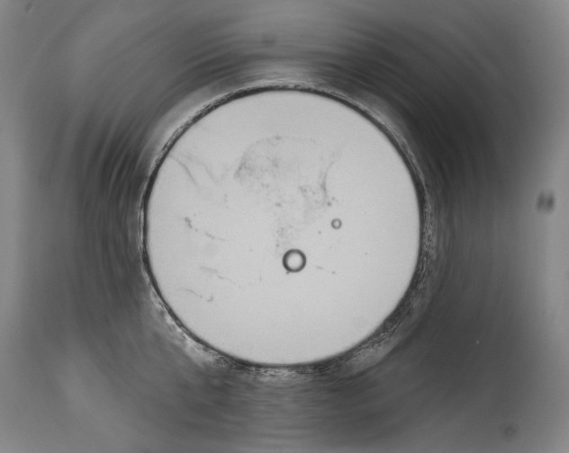 X0000114610807200911101151