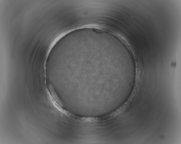 X0000114610808200911101150