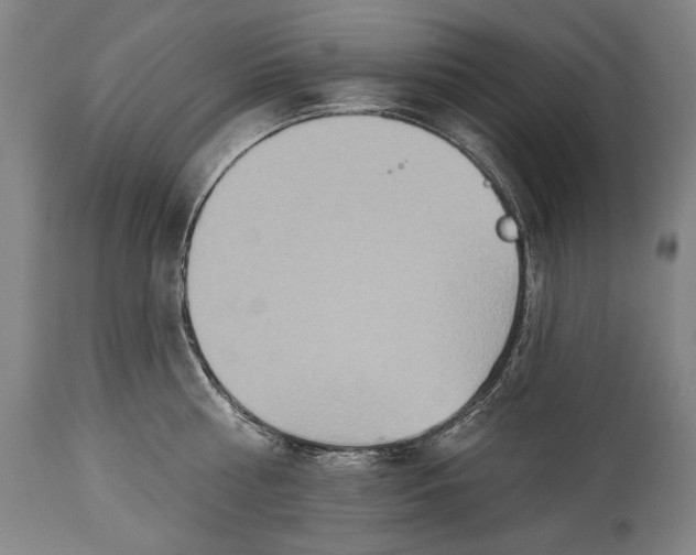 X0000114610810200911101150