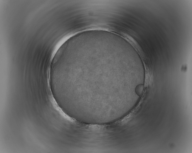 X0000114610812200911101150