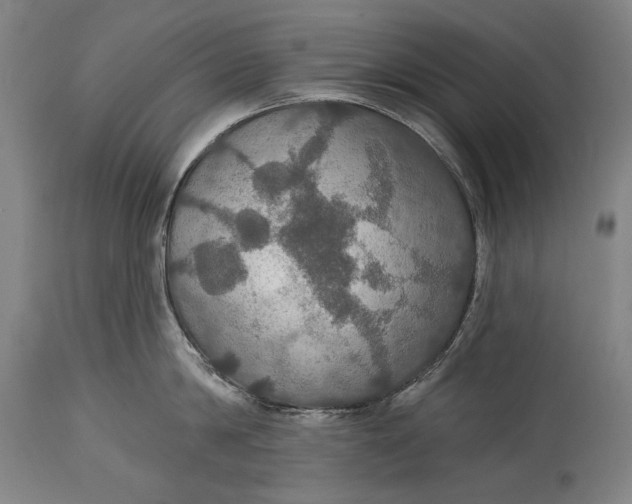 X0000114610814200911101150