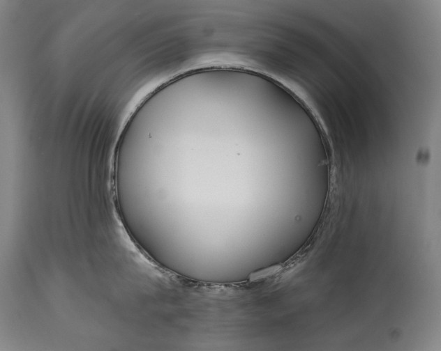 X0000114610815200911101150