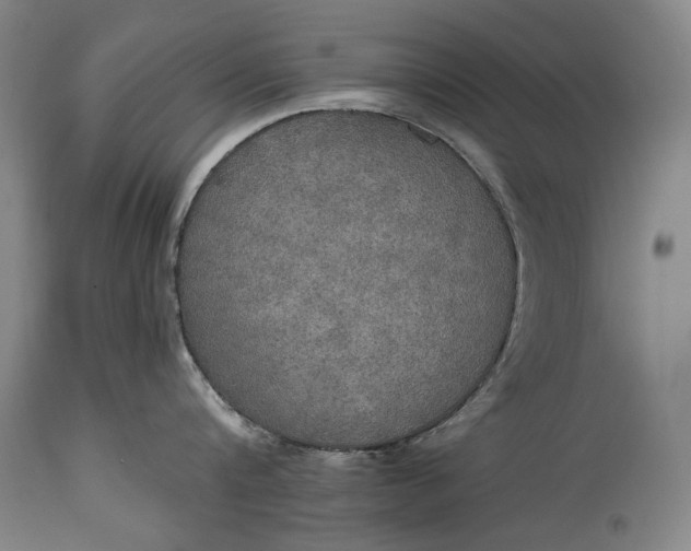 X0000114610816200911101150