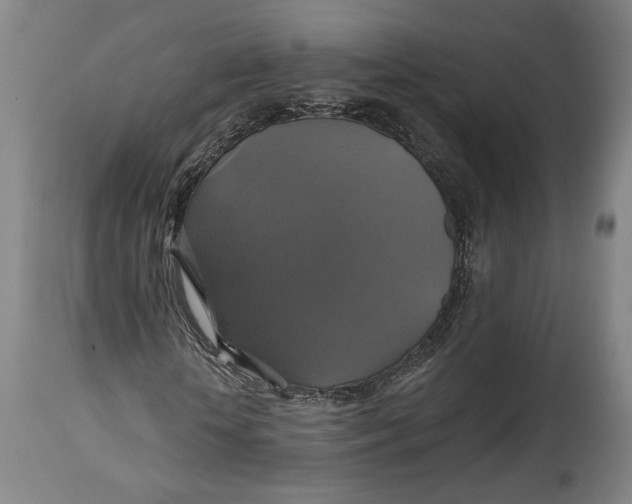 X0000114610818200911101150