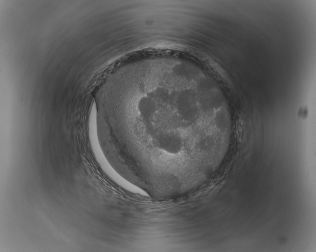 X0000114610821200911101150