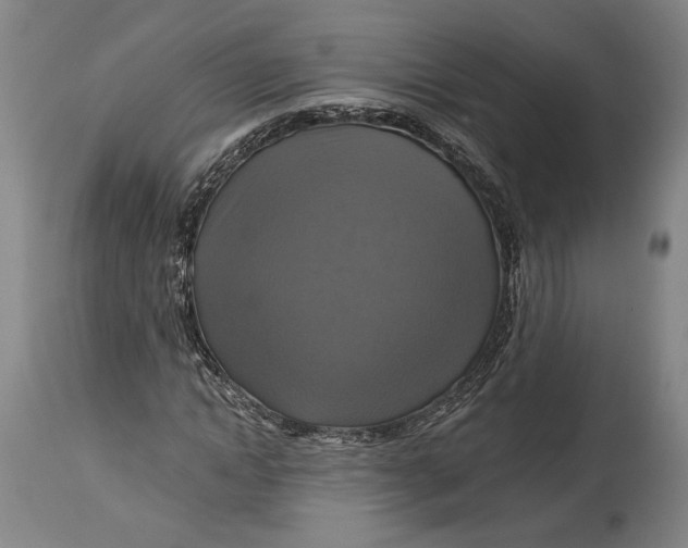 X0000114610822200911101150