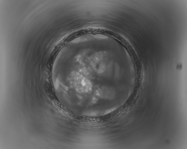 X0000114610823200911101150