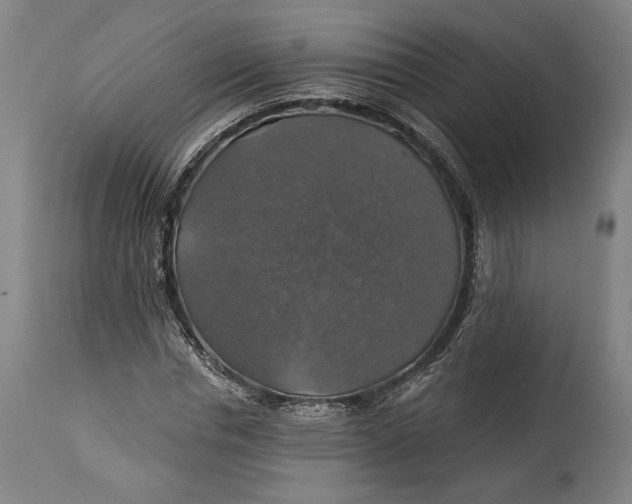 X0000114610826200911101150