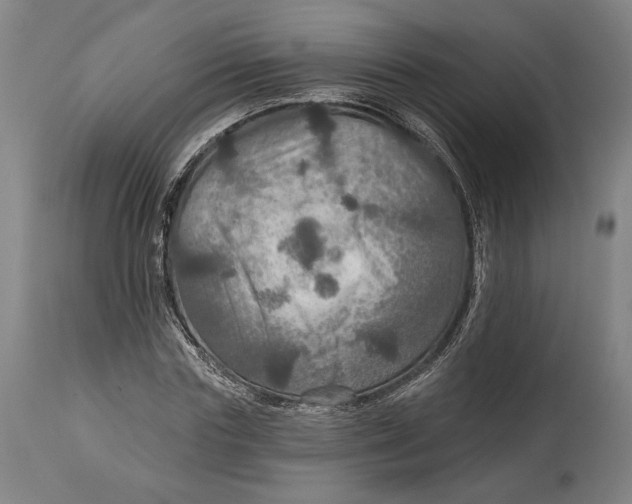 X0000114610827200911101150