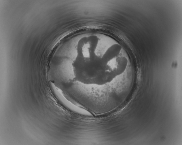 X0000114610829200911101150