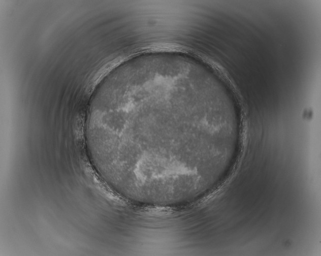 X0000114610833200911101150