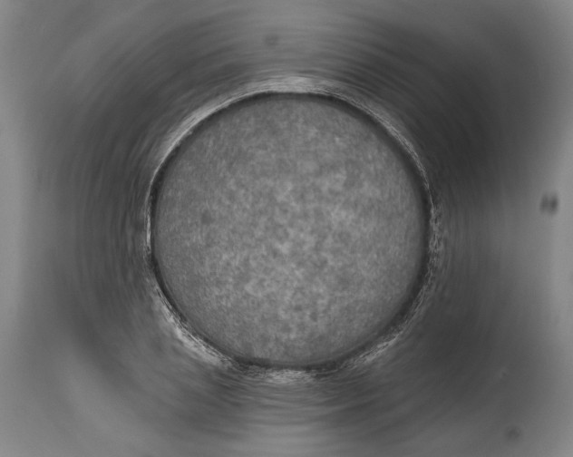 X0000114610837200911101150