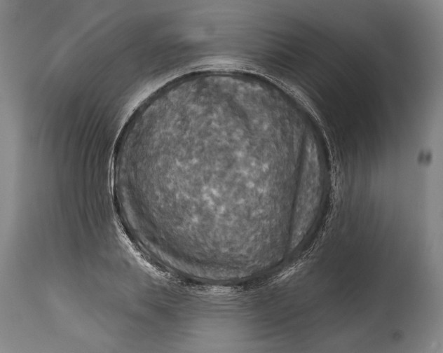 X0000114610839200911101150