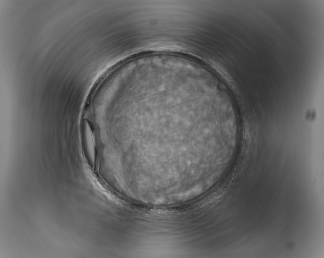 X0000114610840200911101150