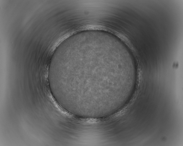 X0000114610841200911101150