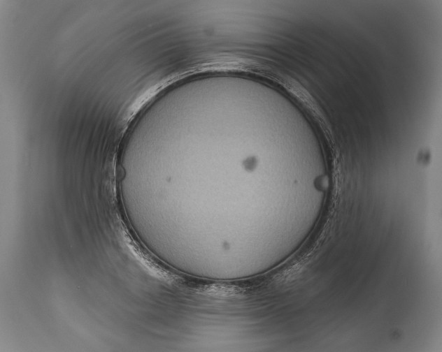 X0000114610842200911101150