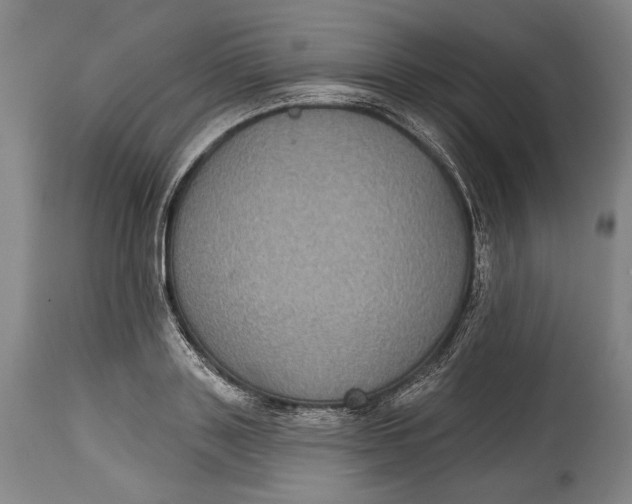 X0000114610843200911101150