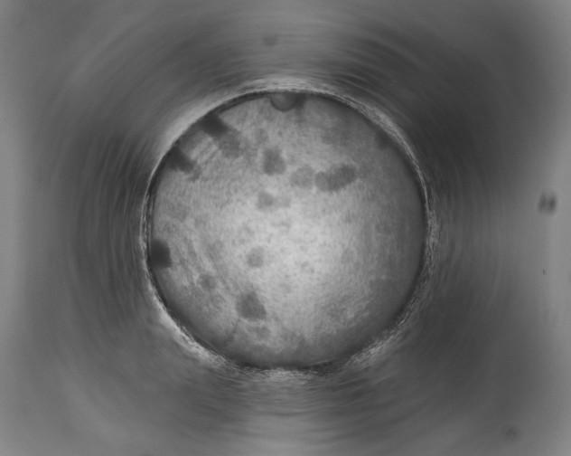 X0000114610847200911101150