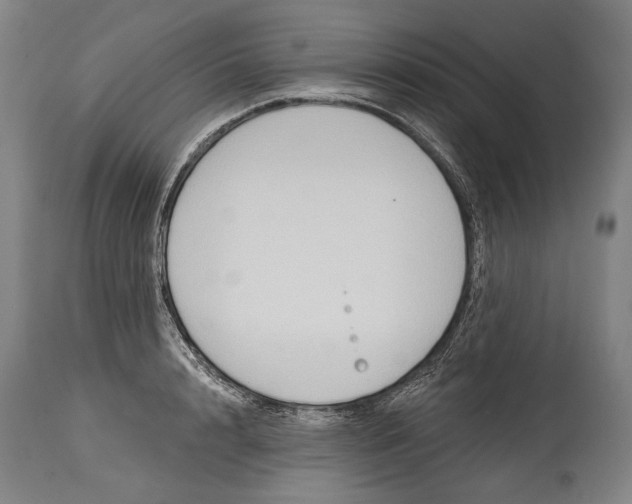 X0000114610848200911101150