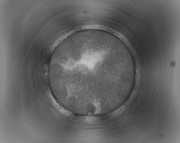 X0000114610849200911101150