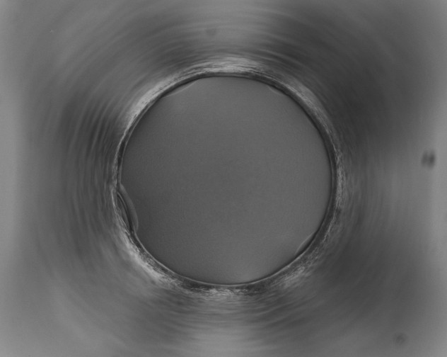 X0000114610850200911101150