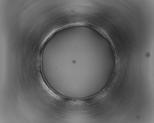 X0000114610851200911101150