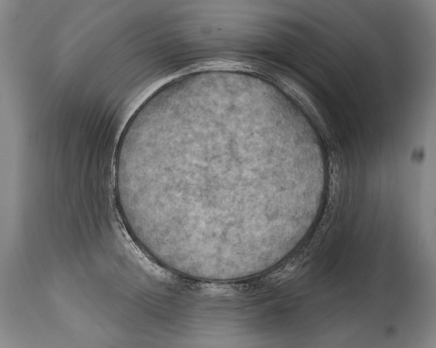 X0000114610852200911101150