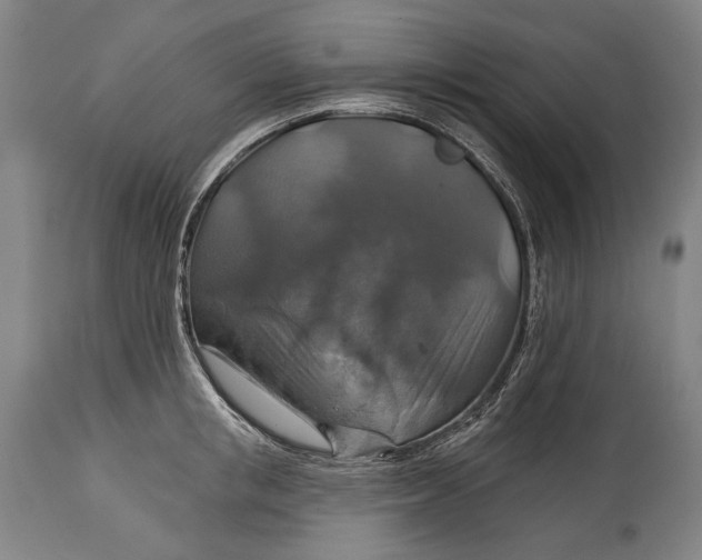 X0000114610853200911101150