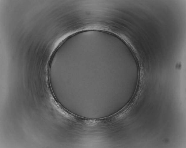 X0000114610854200911101150