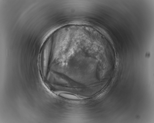 X0000114610855200911101150