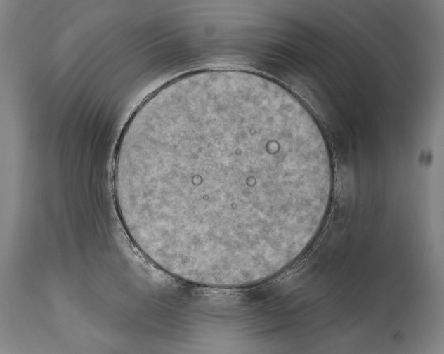 X0000114610856200911101150