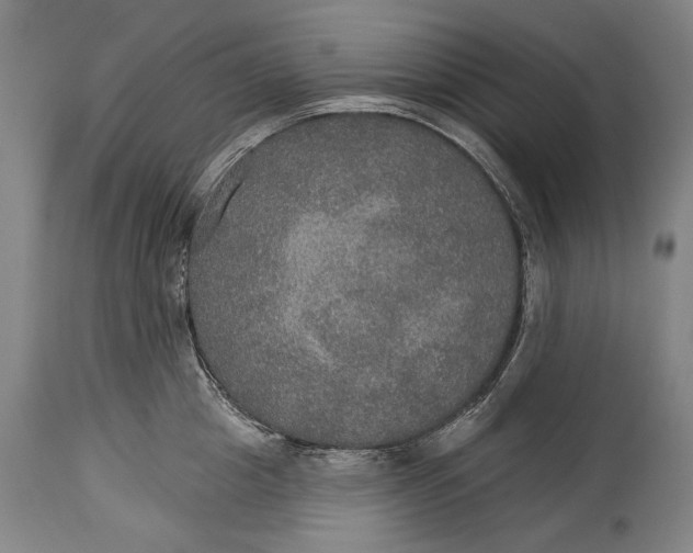 X0000114610857200911101150